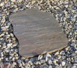 Pėdos Brown (nuo 20 vnt)