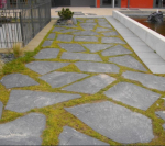 Extra Black akmens plok&scaron;tė 2-3 cm storio, kg