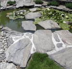 Grey skalūno plok&scaron;tė XXL sv, kg.