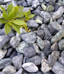 Avocado green gludinti 10/20; 20/40 20kg