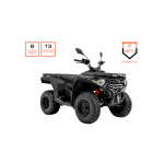 Keturratis motociklas Loncin XWOLF 300 black