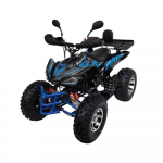 Benzininis keturratis XTR 015/10 PRO 250cc SPORTINIS MECHANINIS