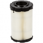 Oro filtras Briggs&Stratton (594201)