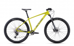Dviratis CTM Rascal 1.0 MTB 29" dydis 20"