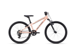 Dviratis CTM Rocky 1.0 24" Dydis 13"