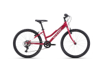 Dviratis CTM Mony 24" dydis 13"