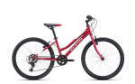 Dviratis CTM Mony Kids 24" dydis 13"
