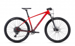 Dviratis CTM Rascal 2.0 MTB 29" dydis 20"