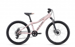 Dviratis CTM Rocky 3.0 Kids 24" dydis 13"