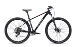 Dviratis CTM Rambler 1.0 29'' dydis XL