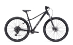 Dviratis CTM Charisma 3.0 29" dydis M
