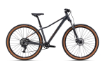 Dviratis CTM Charisma 1.0 29" dydis M
