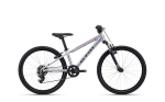 Dviratis CTM Rocky 1.0 24"