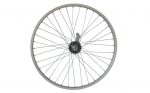 Ratas galinis 24" Shining A-6N SS Velosteel 36H, coaster brake