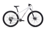 Dviratis CTM Charisma 1.0 27.5"