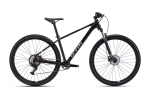 Dviratis CTM Rambler 1.0 29"