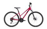 Dviratis CTM Maxima 2.0 28" dydis 18"