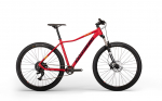 Dviratis Corratec MTB 29" X Vert Expert dydis 39 cm