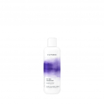 Ainoa 2.0 Silver Shampoo 300ML