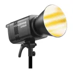 LED &scaron;viestuvas GODOX Litemons LE300Bi