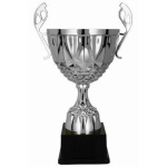 Sidabrinė metalinė taurė MUFAS 7221B