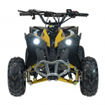 Vaiki&scaron;kas benzininis keturratis RENEGADE HIPERFECT 110CC, Geltonas