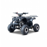 Vaiki&scaron;kas benzininis keturratis WILDPEAK 110 cm3, Juodas