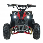 Vaiki&scaron;kas benzininis keturratis RENEGADE HIPERFECT 110CC, Raudonas