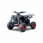 Vaiki&scaron;kas benzininis keturratis WILDPEAK 110 cm3, Raudonas