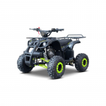 Vaiki&scaron;kas benzininis keturratis WILDPEAK 110 cm3, Žalias