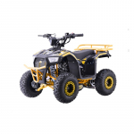Vaiki&scaron;kas benzininis keturratis EXPLORER 110CC, Geltonas