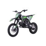 Vaiki&scaron;kas benzininis motociklas IMMORTAL 110cc, Žalias