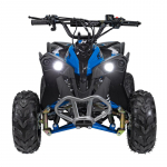 Vaiki&scaron;kas benzininis keturratis RENEGADE HIPERFECT 110CC, Mėlynas