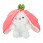 Pliu&scaron;inis triu&scaron;iukas/bra&scaron;kė