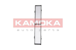 Filtras, salono oras KAMOKA F410601