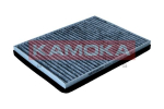 Filtras, salono oras KAMOKA F524001