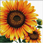 Siuvinėjimo kryželiu rinkinys SUNFLOWER 40x40cm