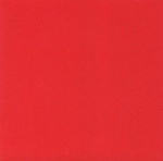 Kartonas PROTOS, A4, 20 l. 160g/m2 &scaron;viesiai raudonas