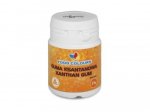 Ksantano guma E415, 25 g