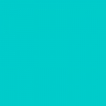 Kartonas PROTOS, A4, 20 l. 160g/m2 turkio