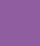 Kartonas A3/20l. PROTOS 160g/m2 tamsiai violetinis