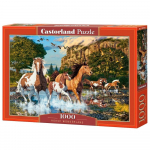Castorland dėllionė Horse Wonderland 1000 det.