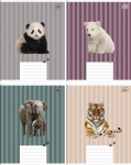 Sąsiuvinis 12l. langeliais, 70g/m2, WILD COLLECTION 4, INTERDRUK