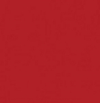 Kartonas PROTOS, A4, 20 l. 160g/m2 tamsiai raudonas