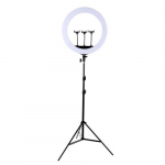LED žiedinė lempa 45cm, su trikoju stovu iki 2.1m