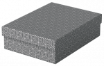 Daiktadėžė ESSELTE Home M Low, su dangteliu, 265x100x360 pilka (3vnt./pak.) 628285