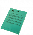 Vokeliai Esselte A4, L formos, žali, 10 vnt.