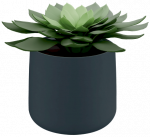 Keraminis vazonėlis Leitz Cosy , t. pilkas 5331-00-89