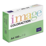 Popierius Image Coloraction A4 160g 250 lapų Dublin / Deep Green