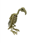 Skeletas - pauk&scaron;tis 2
